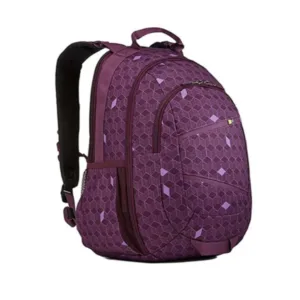 Case Logic Bag Berkeley Backpack